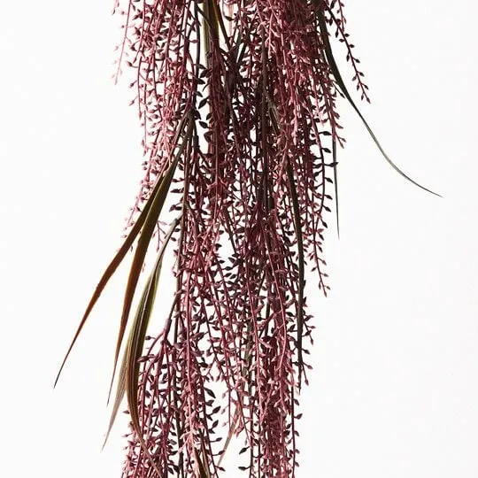 Seed Hanging Bush Burgundy 82CML